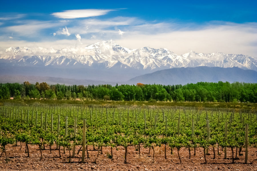 Argentina&rsquo;s cradle of Malbec wine is warming up to copper mining